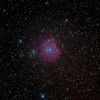 NGC2175_DSC00411_17B-1cut~0.jpg